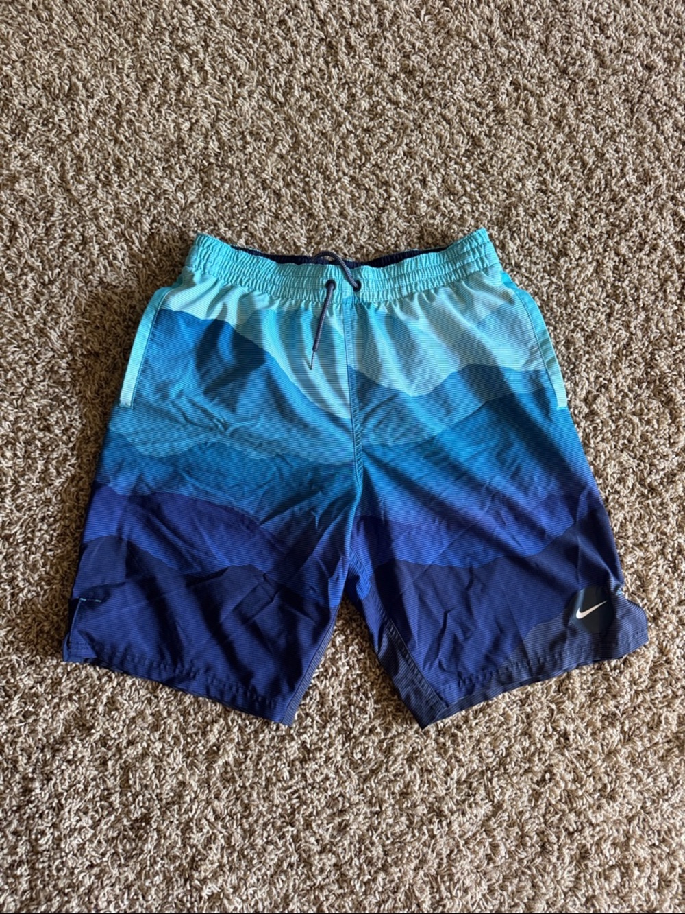 Nike Teal to Navy Gradient Swim Shorts